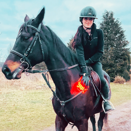Red light therapy for horses